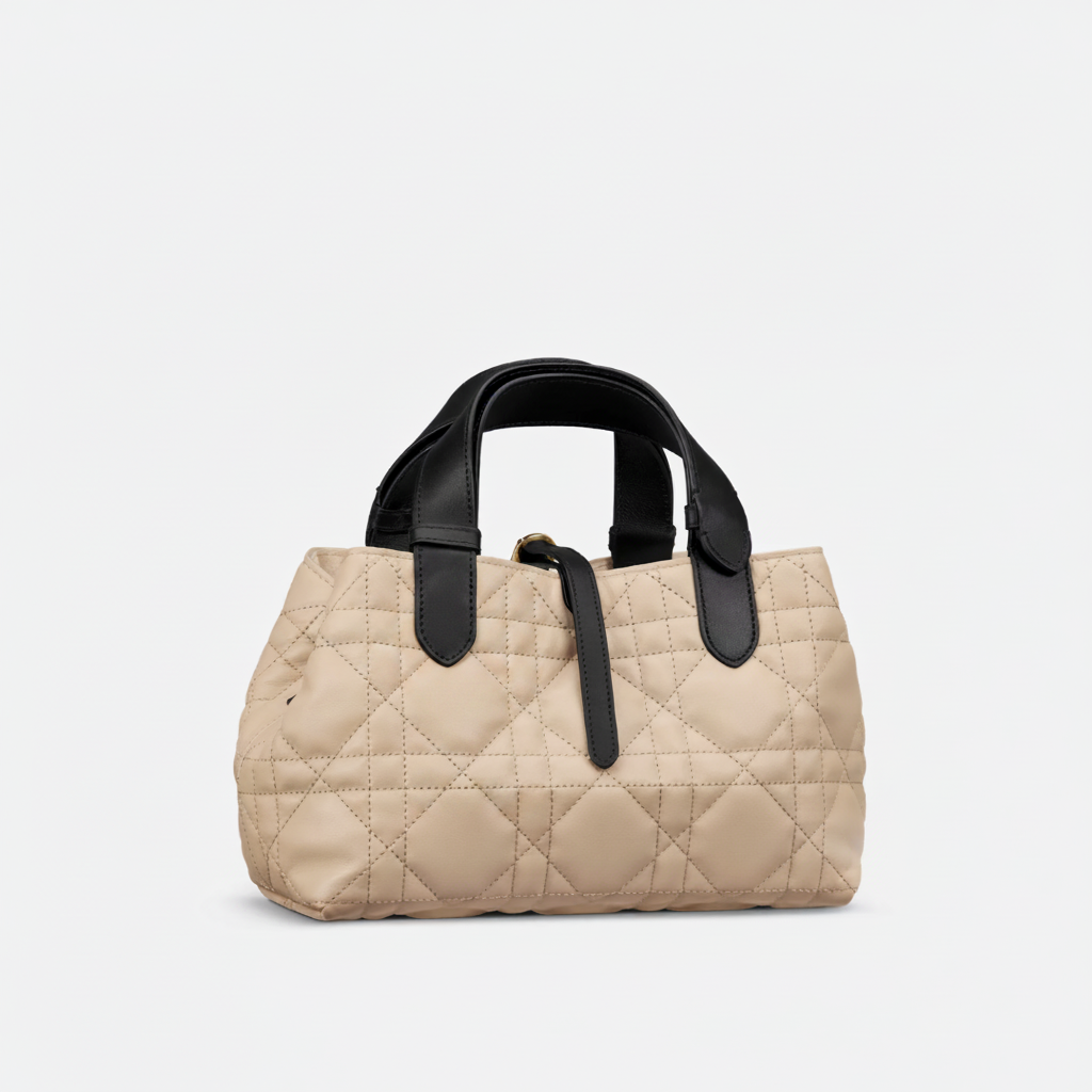 DIOR TOUJOURS SMALL TASCHE